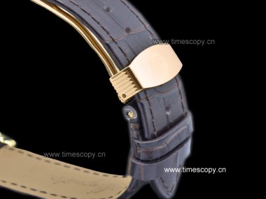 Swiss Grade Replica Breguet Classique Automatic Man Watches BG-2041