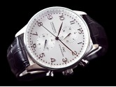 Asia Grade Replica IWC Portuguese Automatic Man Watches IW-1214