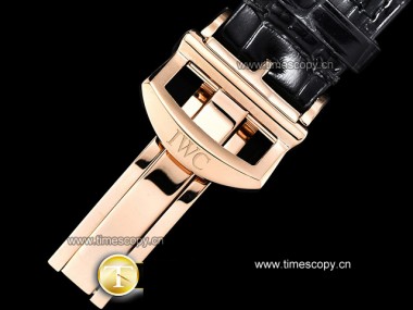 Swiss Grade Replica IWC Da Vinci Laureus Sport for Good Foundation Man Watches IW-2154
