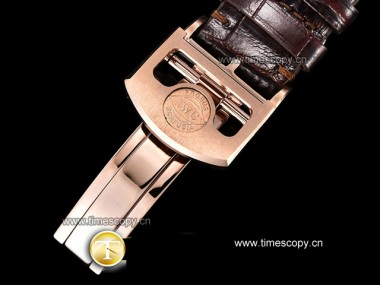 Swiss Grade Replica V9 Factory IWC Portuguese Perpetual Calendar IW503401 Man Watches IW-2227