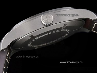 Swiss Grade Replica IWC Mark XVIII IW327006 Titanium Automatic Man Watches IW-2279