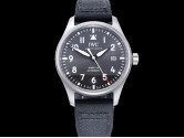 Swiss Grade Replica IWC Mark XX Tribute to Patrouille Suisse Automatic Man Watches IW-2319