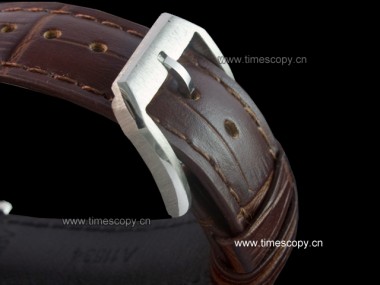 Asia Grade Replica IWC Portuguesse Quartz Chronograph Man Watch IW-1117