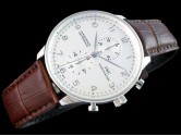 Asia Grade Replica IWC Portuguesse Quartz Chronograph Man Watch IW-1117