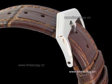 Swiss Grade Replica Patek Philippe Calatrava Automatic Man Watches PP-2078