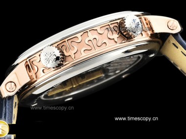 Swiss Grade Replica Patek Philippe Complications Celestial Sky Moon 5102PR  Man Watches PP-2153