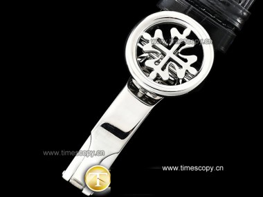 Swiss Grade Replica Patek Philippe Complications Celestial Sky Moon 5102PR  Man Watches PP-2154