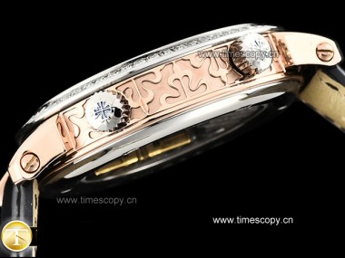 Swiss Grade Replica Patek Philippe Complications Celestial Sky Moon 5102PR  Man Watches PP-2155